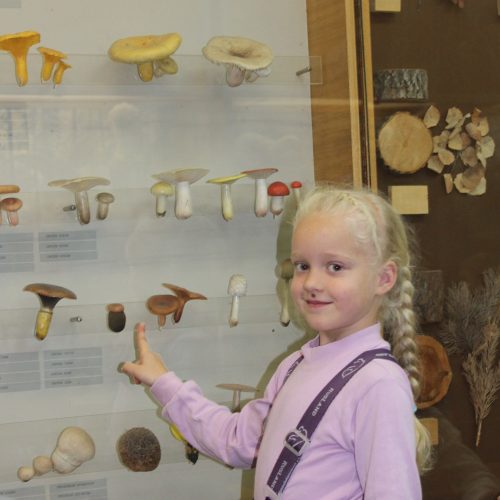 Кремлева Виктория